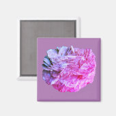 Steen | Nieuw Uitzicht | Twee toonlagen | Magneet (Voorkant / Achterkant)