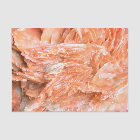 Steen | Nieuw Uitzicht | Twee toonlagen | Tissuepapier (Voorkant)