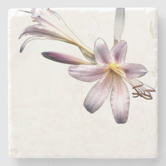 Steen Onderzetter (Voorkant)