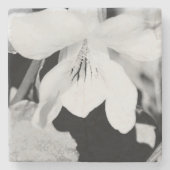 Steen Onderzetter (Voorkant)