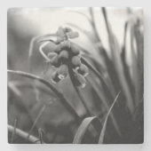 Steen Onderzetter (Voorkant)