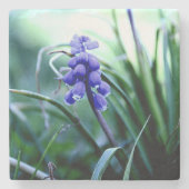 Steen Onderzetter (Voorkant)