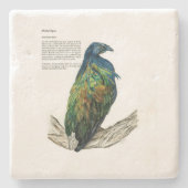 Steen Onderzetter (Voorkant)