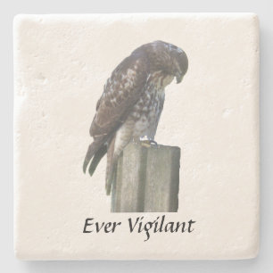 Steen Onderzetter - Falcon - Ever Vigilant