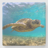 Steen Onderzetter-schildpad Stenen Onderzetter (Voorkant)