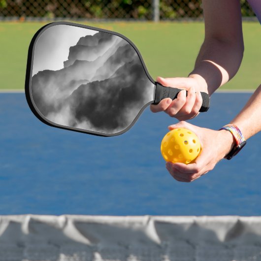 Steen op de stenen pickleball paddle (Insitu)