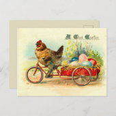  steen op fietsenrooster briefkaart (Voorkant / Achterkant)