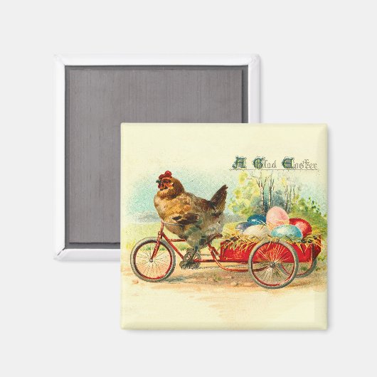 steen op fietsenrooster magneet (Voorkant / Achterkant)