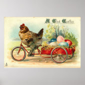  steen op fietsenrooster poster (Voorkant)