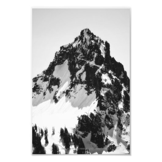 Steen, sneeuw en bomen foto afdruk (Voorkant)