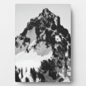 Steen, sneeuw en bomen fotoplaat (voorkant)