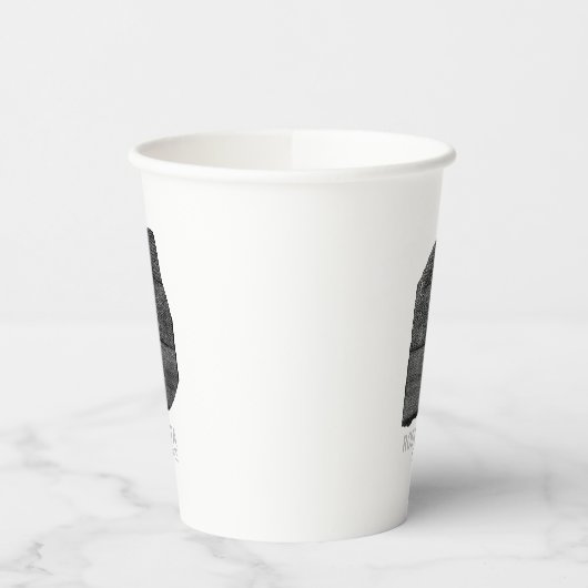 Steen van Rosetta: Oude Egyptische hiëroglief Papieren Bekers (Links)