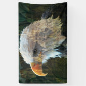 Steenarend Berg Blend Spandoek (Verticaal)