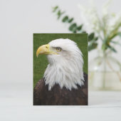 Steenarend Briefkaart (Staand voorkant)