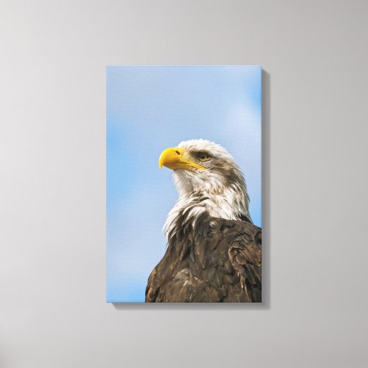 Steenarend Canvas Afdruk (Voorkant)