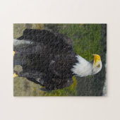 Steenarend Colorado. Legpuzzel (Horizontaal)