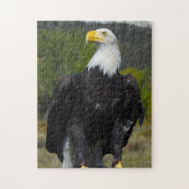 Steenarend Colorado. Legpuzzel