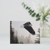 Steenarend die door de mist zweeft briefkaart (Staand voorkant)