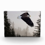 Steenarend die door de mist zweeft fotoblokken (Voorkant)