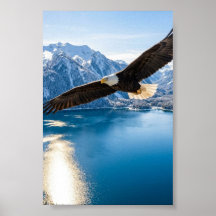 Steenarend die over een bergmeer zweeft - matte po