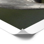 Steenarend Gezicht Poster (Hoek)