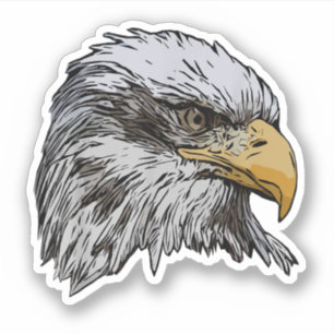 Steenarend Grafisch Amerikaans Nationaal Symbool D Sticker