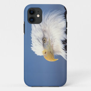steenarend, Haliaeetus leuccocephalus, Case-Mate iPhone Case