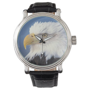 steenarend, Haliaeetus leuccocephalus, Horloge