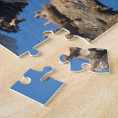 steenarend, Haliaeetus leuccocephalus, landend Legpuzzel (Zijkant)
