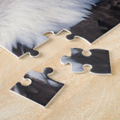 steenarend, Haliaeetus leuccocephalus, Legpuzzel (Zijkant)