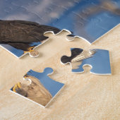 steenarend, Haliaeetus leuccocephalus, paar Legpuzzel (Zijkant)