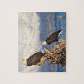 steenarend, Haliaeetus leuccocephalus, paar Legpuzzel (Verticaal)