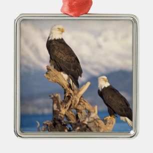 steenarend, Haliaeetus leuccocephalus, paar Metalen Ornament