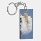 steenarend, Haliaeetus leuccocephalus, Sleutelhanger (Voorkant Links)