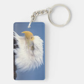 steenarend, Haliaeetus leuccocephalus, Sleutelhanger (achterkant)