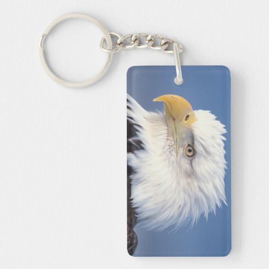steenarend, Haliaeetus leuccocephalus, Sleutelhanger (Voorkant)