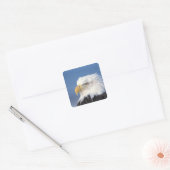 steenarend, Haliaeetus leuccocephalus, Vierkante Sticker (Envelop)