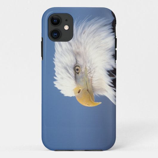 steenarend, Haliaeetus leucocephalus, Case-Mate iPhone Case (Achterkant)