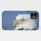 steenarend, Haliaeetus leucocephalus, Case-Mate iPhone Case (Achterkant (horizontaal))