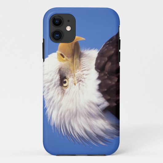 steenarend, Haliaeetus leucocephalus, close-up, 3 Case-Mate iPhone Case (Achterkant)