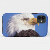 steenarend, Haliaeetus leucocephalus, close-up, 3 Case-Mate iPhone Case (Achterkant (horizontaal))
