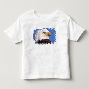 steenarend, Haliaeetus leucocephalus, close-up, 3 Kinder Shirts