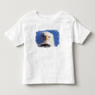 steenarend, Haliaeetus leucocephalus, close-up van Kinder Shirts