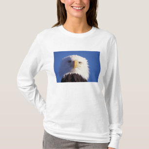 steenarend, Haliaeetus leucocephalus, close-up van T-shirt