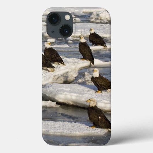 Steenarend, Haliaeetus leucocephalus, Homer, 2 Case-Mate iPhone Case (Achterkant)