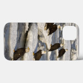 Steenarend, Haliaeetus leucocephalus, Homer, 2 Case-Mate iPhone Case (Achterkant (horizontaal))