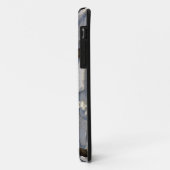 Steenarend, Haliaeetus leucocephalus, Homer, 2 Case-Mate iPhone Case (Achterkant/links)
