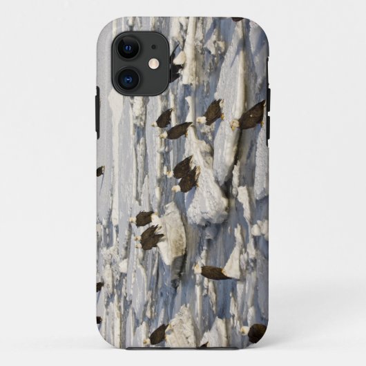 Steenarend, Haliaeetus leucocephalus, Homer, 2 Case-Mate iPhone Case (Achterkant)