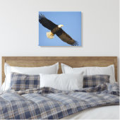 Steenarend, Haliaeetus leucocephalus, Homer, 4 Canvas Afdruk (Insitu (Slaapkamer))