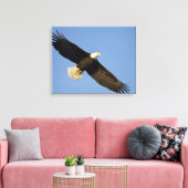 Steenarend, Haliaeetus leucocephalus, Homer, 4 Canvas Afdruk (Insitu (Woonkamer))